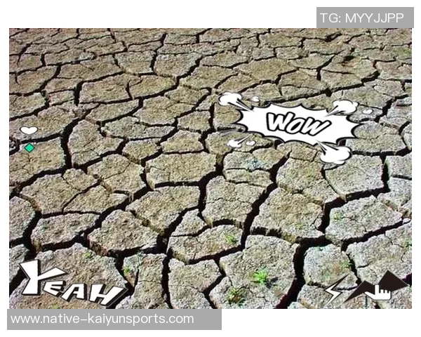 西雅海湾与伐木工的激烈对决揭示了城市发展与自然保护的深刻矛盾